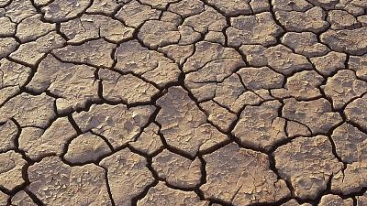 Desertificação - Como ocorre, causas e consequências