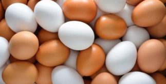 Por que os ovos das galinhas têm cor diferente?