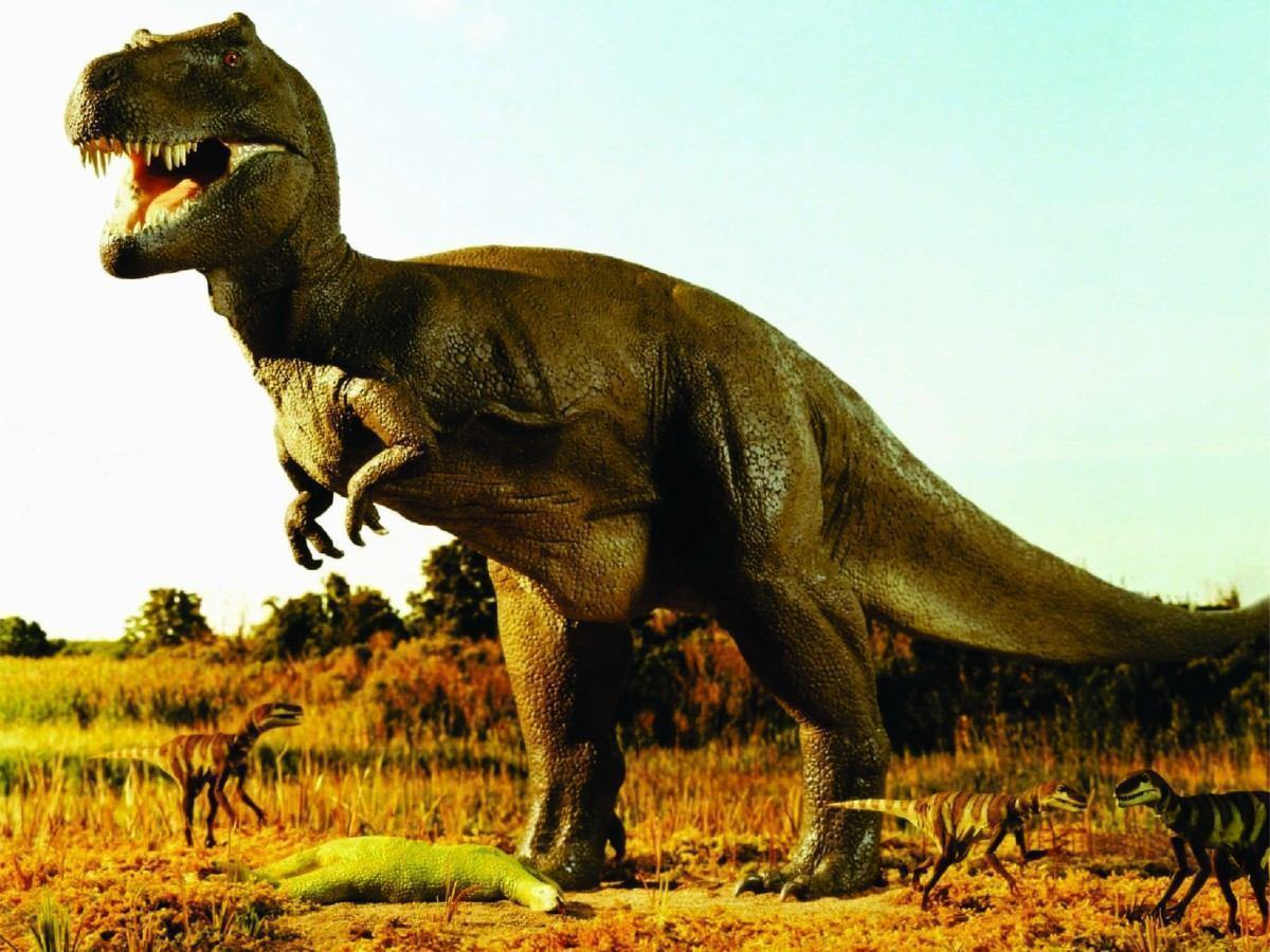 Tiranossauro rex: características e curiosidades - Escola Kids