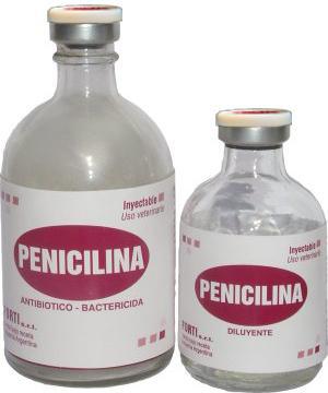 Descoberta da penicilina