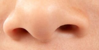 Qual a importância do nariz?