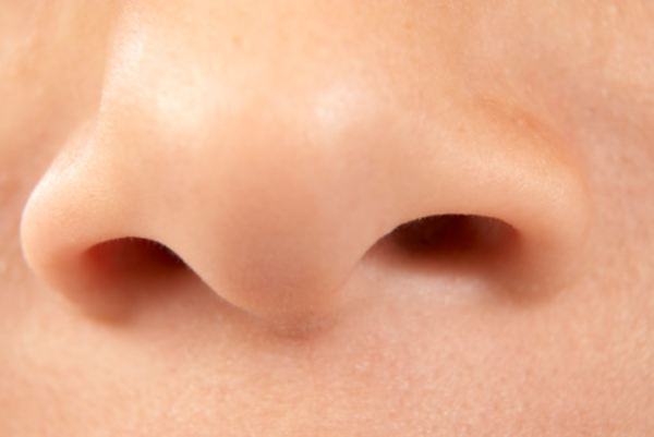 Estrutura do nariz possui uma sustentação semelhante ao osso, chamada de cartilagem