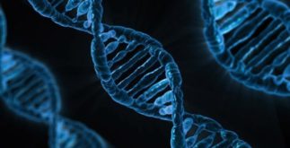 DNA: ‘a molécula da vida’