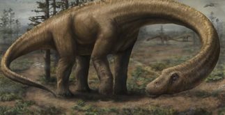 O maior dinossauro do mundo já descoberto