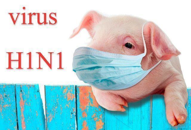 o-virus-da-gripe-h1n1-e-seus-efeitos-na-saude-publica