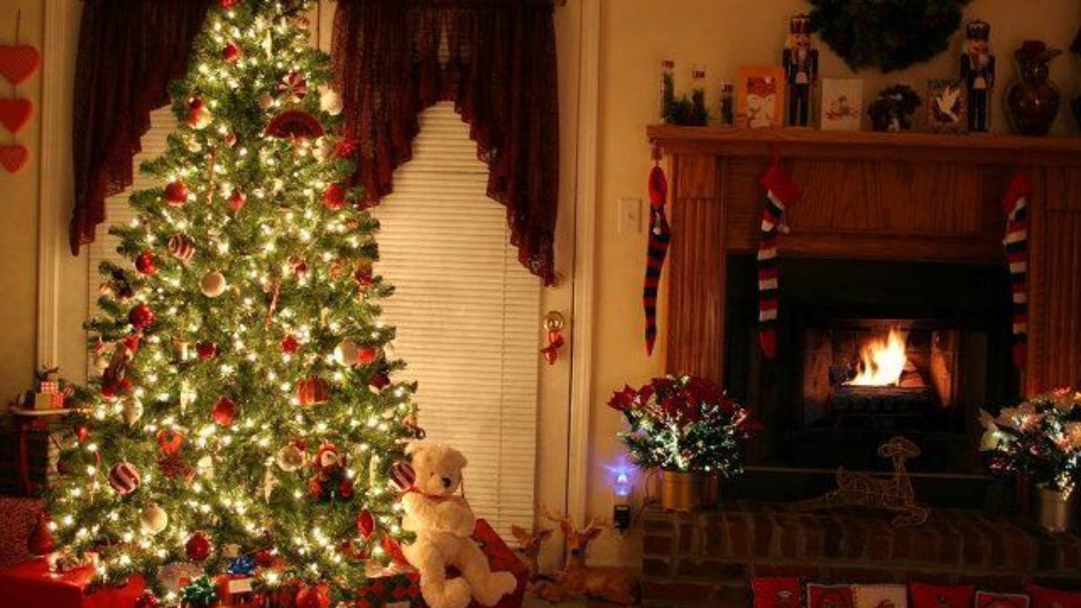 A origem de um dos símbolos natalinos, a Árvore de Natal - Estudo Kids
