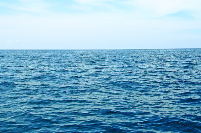 Por ser o maior oceano do mundo, o pacífico cobre aproximadamente 46% da superfície da Terra