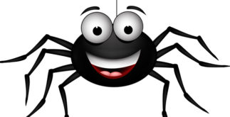 Aranha é inseto? Descubra tudo sobre esse animal!